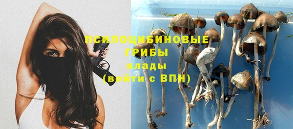 дурь Алексин