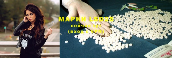 дурь Алексин